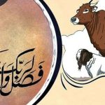 পশুর যেসব দোষ থাকলে কুরবানি শুদ্ধ হবে না
