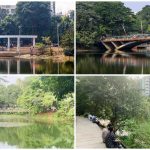 শহরের বুকে সবুজের শান্তি: পার্কে এক বিকেলের গল্প