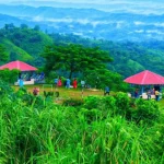 পর্যটনশিল্পের উন্নয়নে করণীয়
